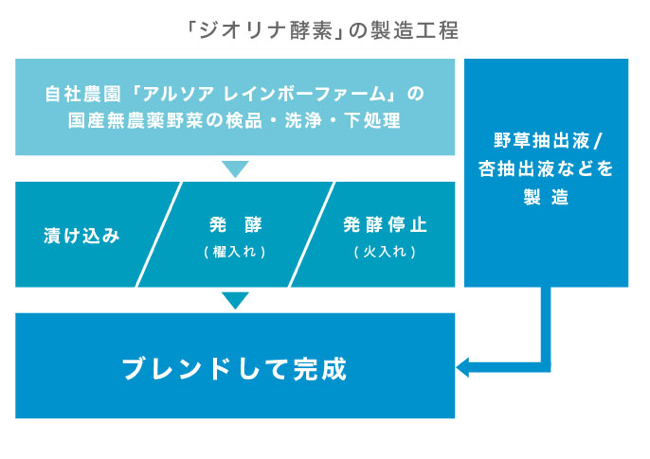 「ジオリナ酵素」の製造工程