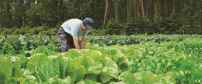 植物性温泉水(モール水)の製造・管理