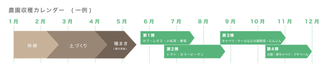 農園収穫カレンダー